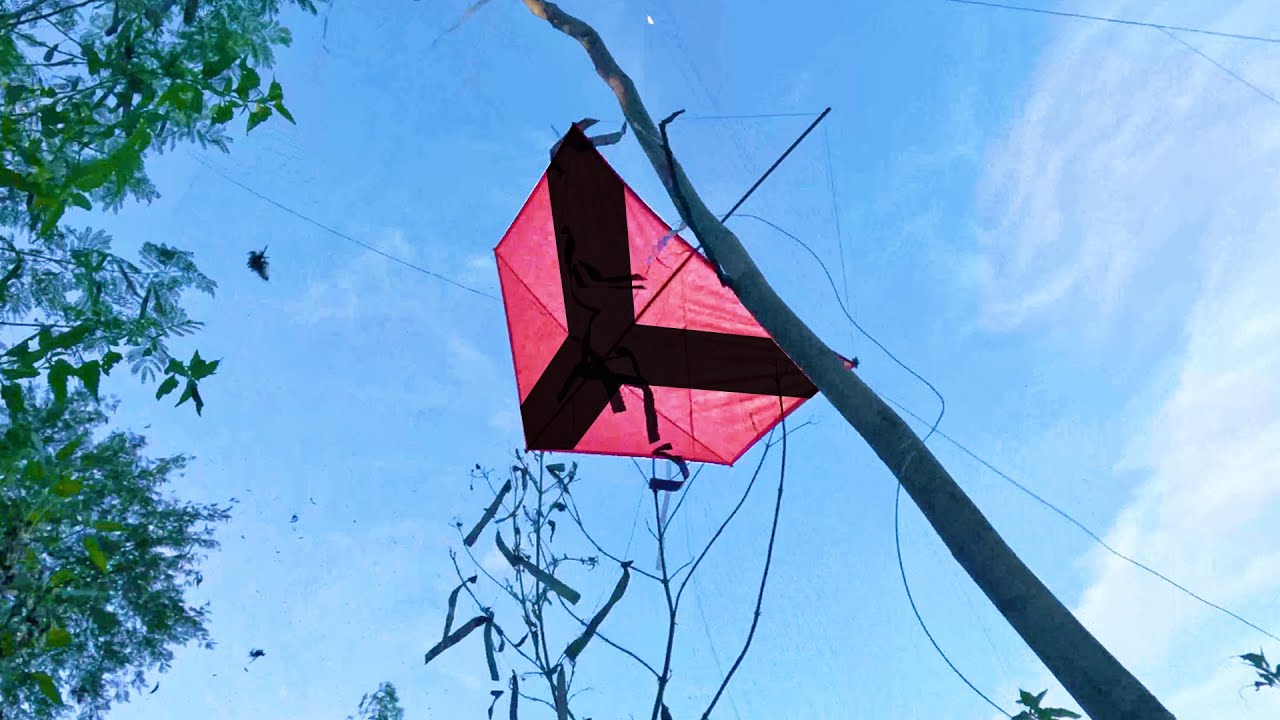 Pegando Pipa Voada com Bambu na Floresta, Chepa Raiz no Rio de Janeiro!!! 🔥