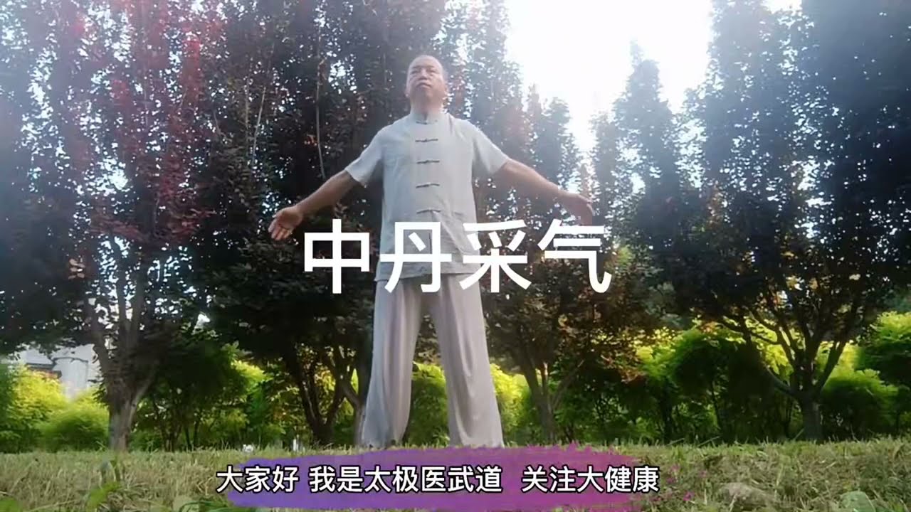 悟道德经  练中丹田  太极功力  强壮中丹田