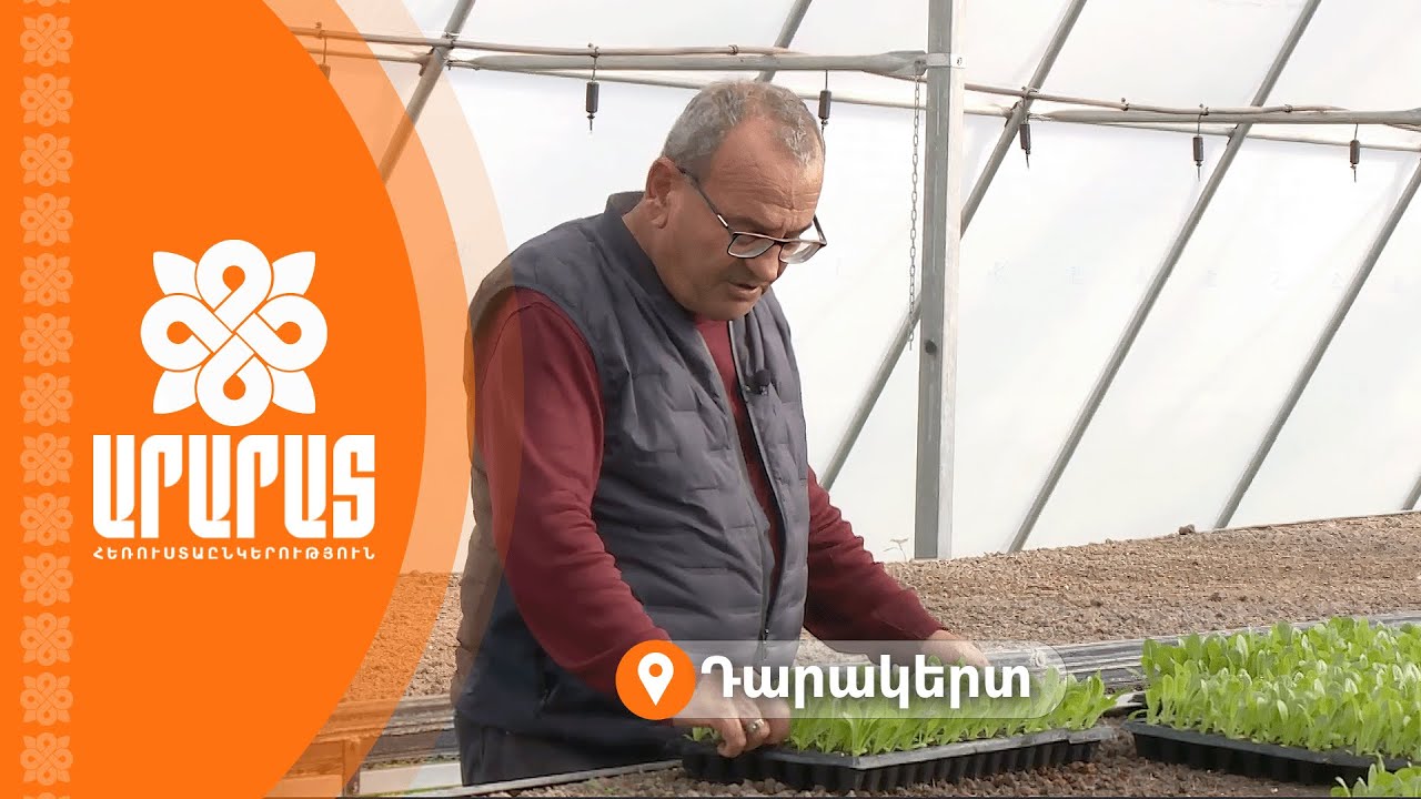 «Խելացի» ջերմոց՝ Դարակերտում