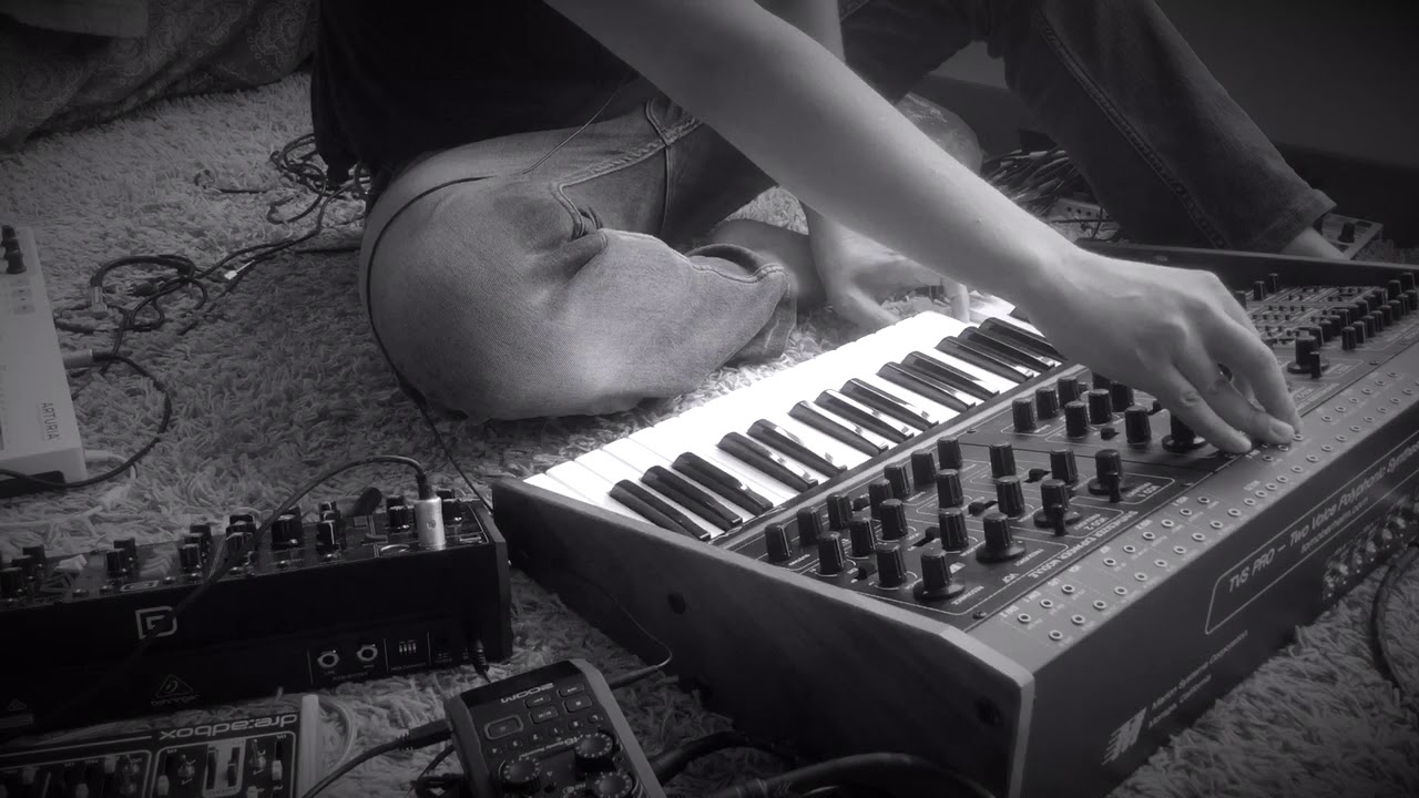 Tom Oberheim Two voice pro, analogue synth