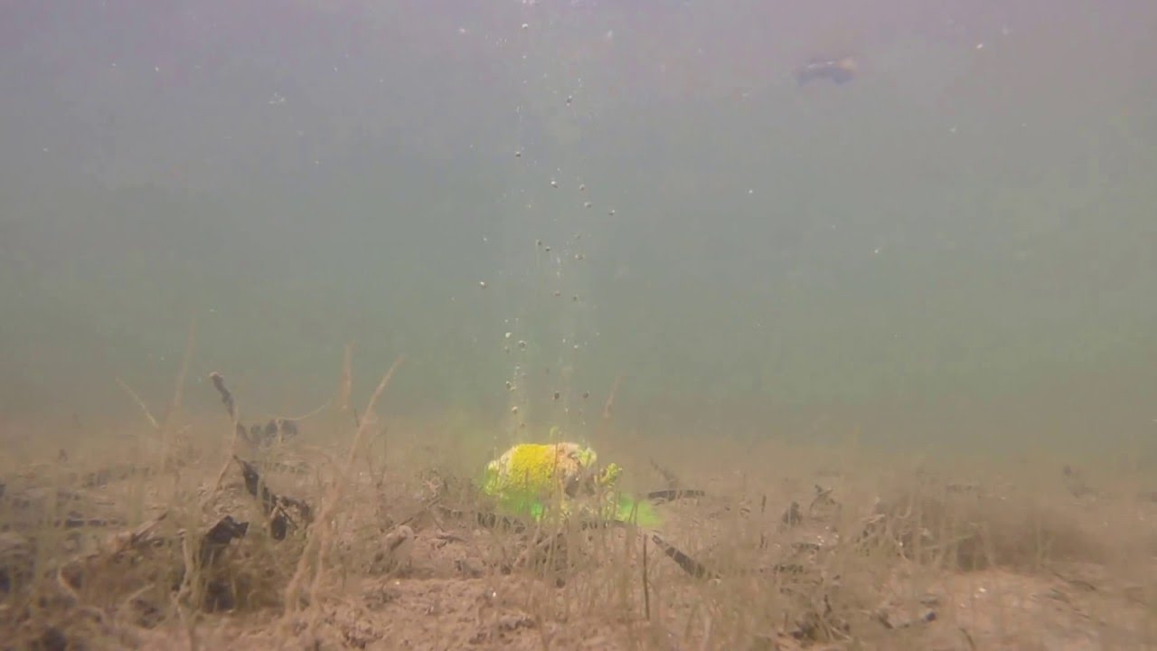 Korda Goo power smoke under water footage