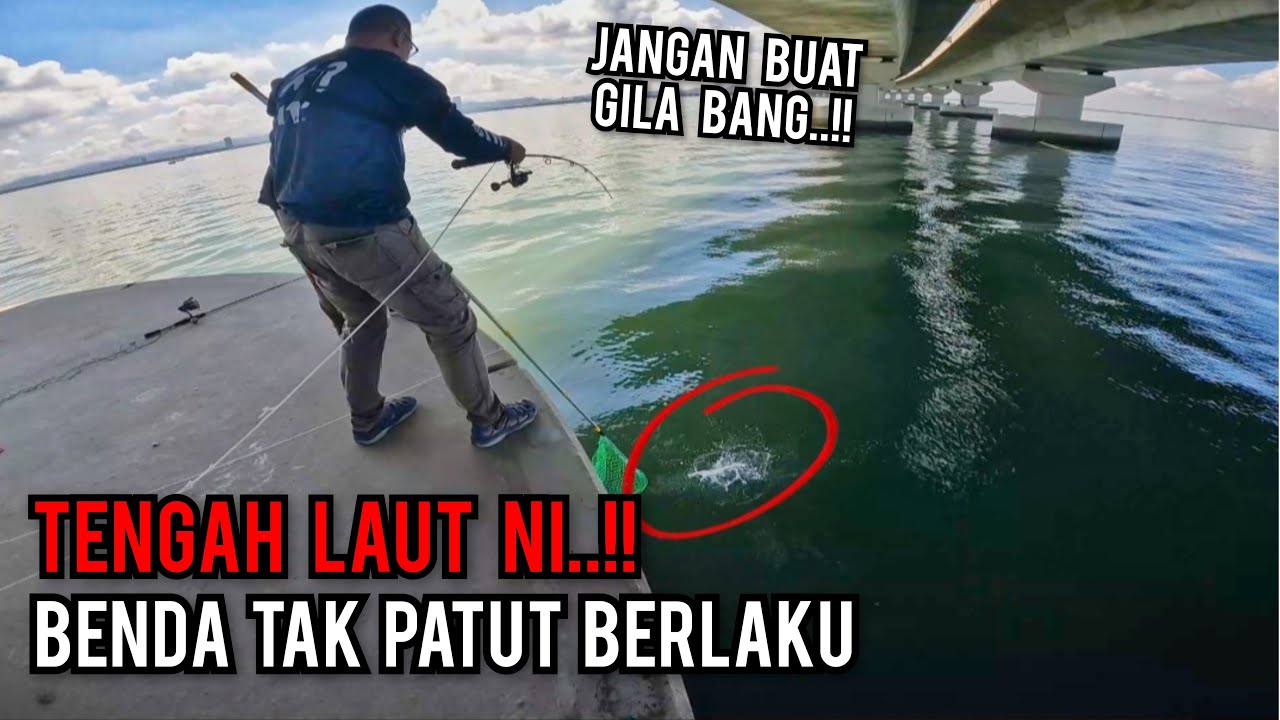 TIBA-TIBA DI LUAR SANGKAAN..!! BAWAH JAMBATAN KEDUA PULAU PINANG #vloq190