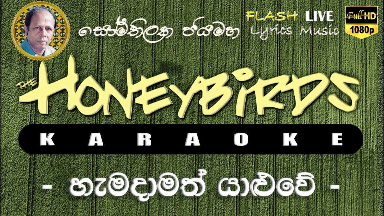 Hamadamath Yaluwe Karaoke (Without Voice) හැමදාමත් යාළුවේ කැරෝකේ