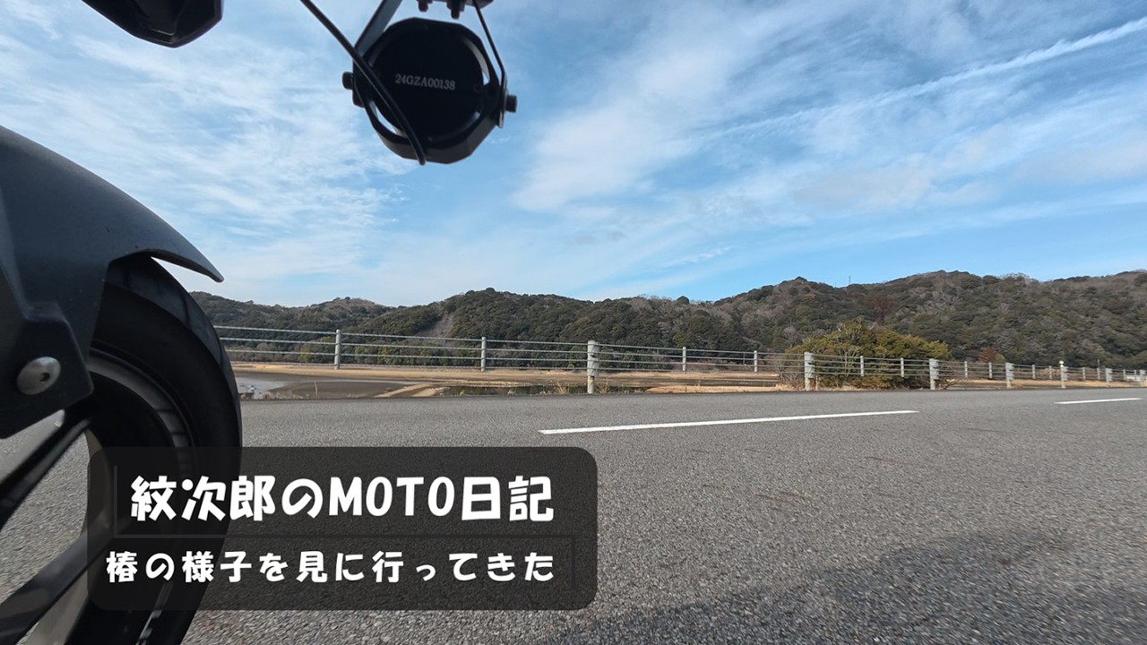 椿の様子を見に行ってきた〈アレンジ版〉