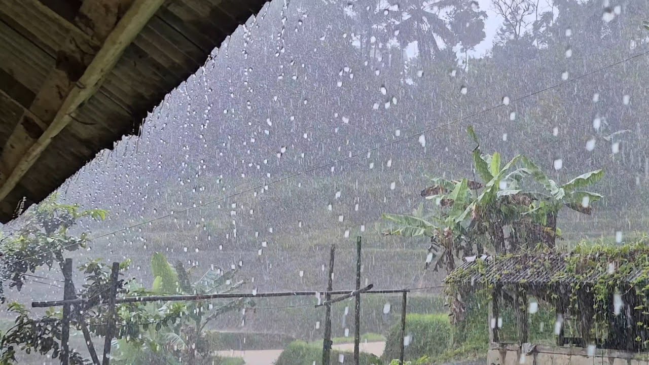 WORLD’S HEAVIEST Heavy Rain 🌧️ 2 HOURS | Fall Asleep FAST & Sleep Deep