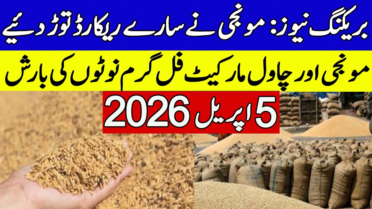 Munji Today Rates ! Dhan Galla Mandi Arifwala
