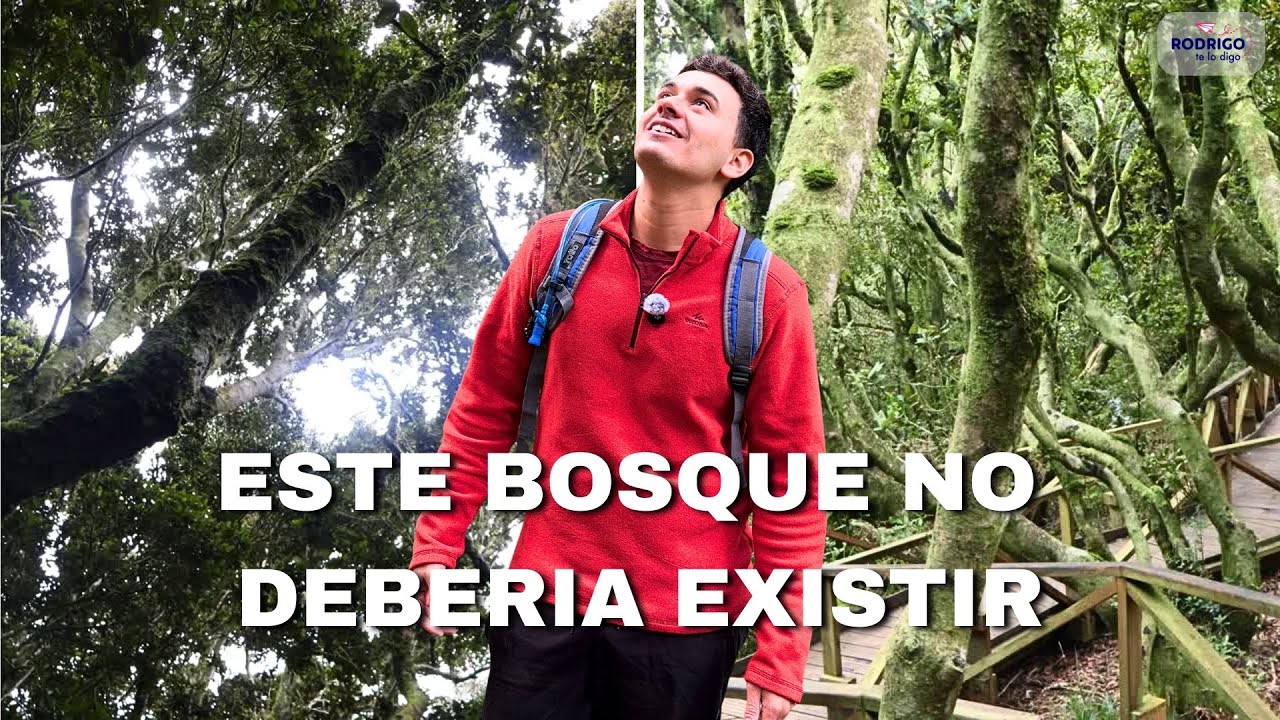 El BOSQUE que sobrevive en el DESIERTO - Parque Nacional FRAY JORGE