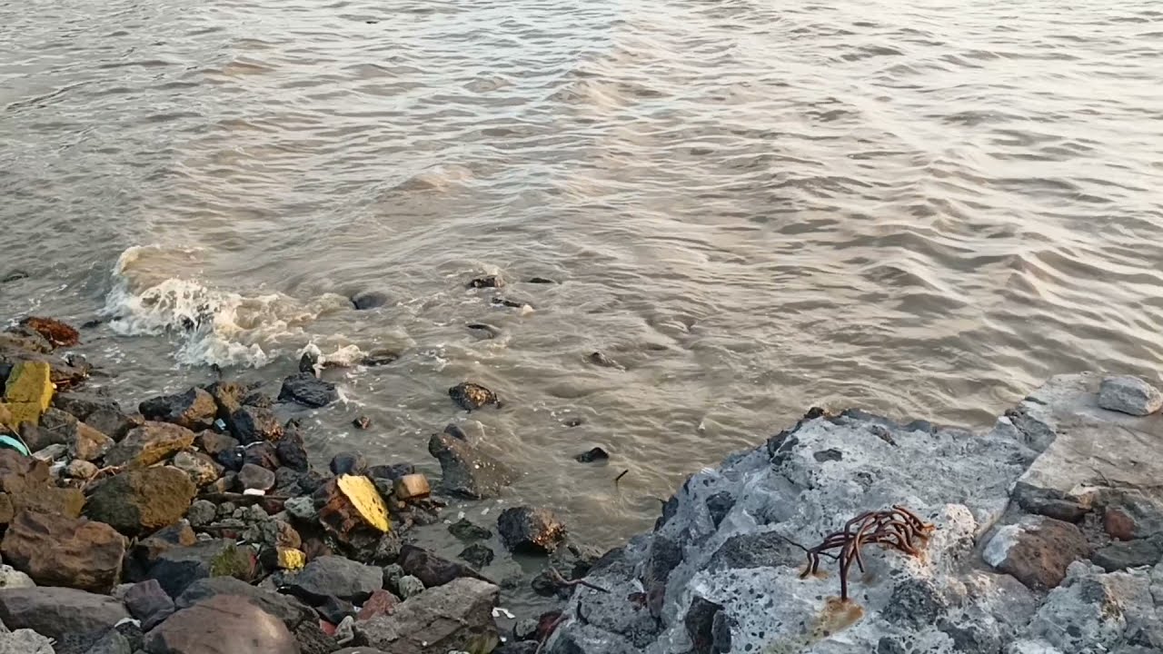 Ada Hiu dan Buaya Bertarung di Pantai Kenjeran Surabaya #shorts #beach #indonesia