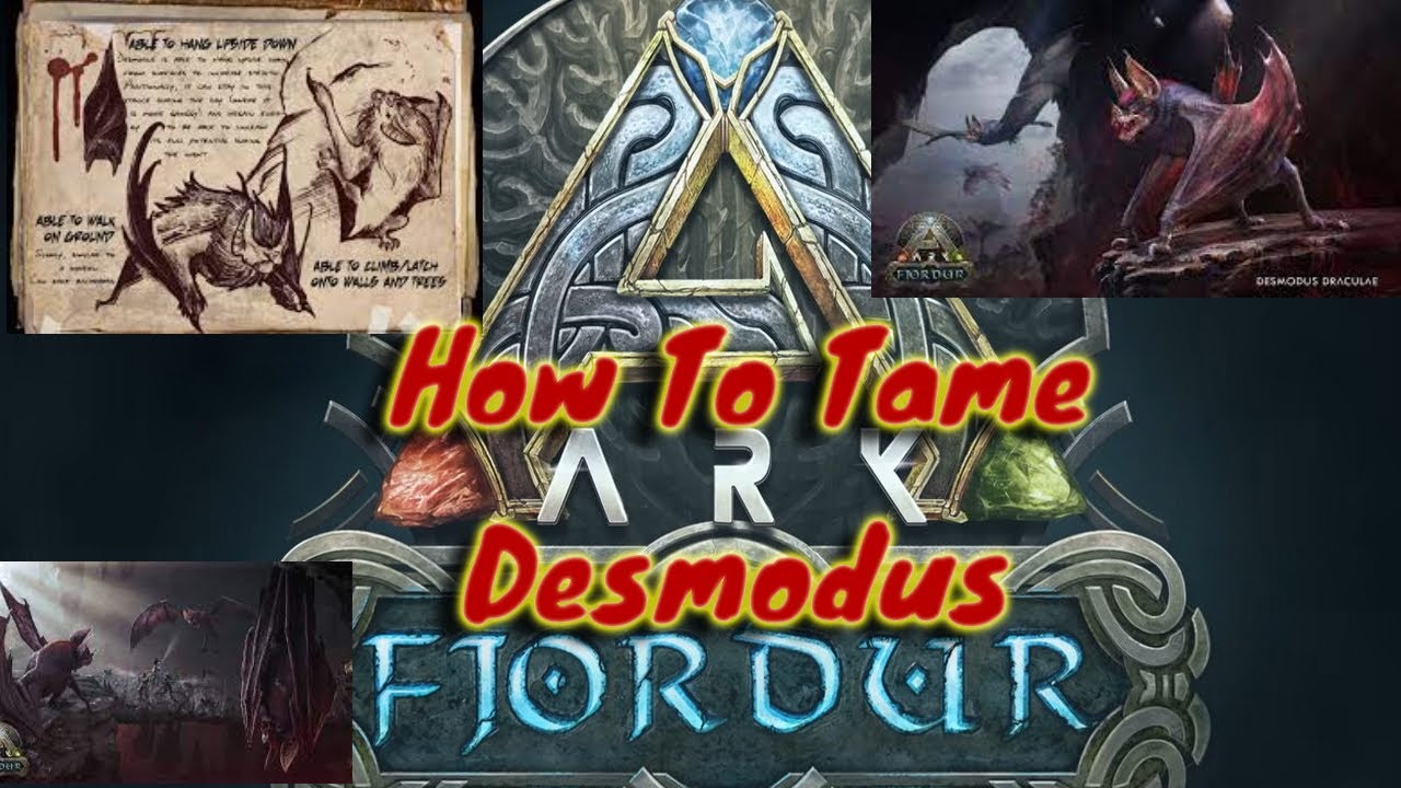 TAMING DESMODUS | ARK FJORDUR