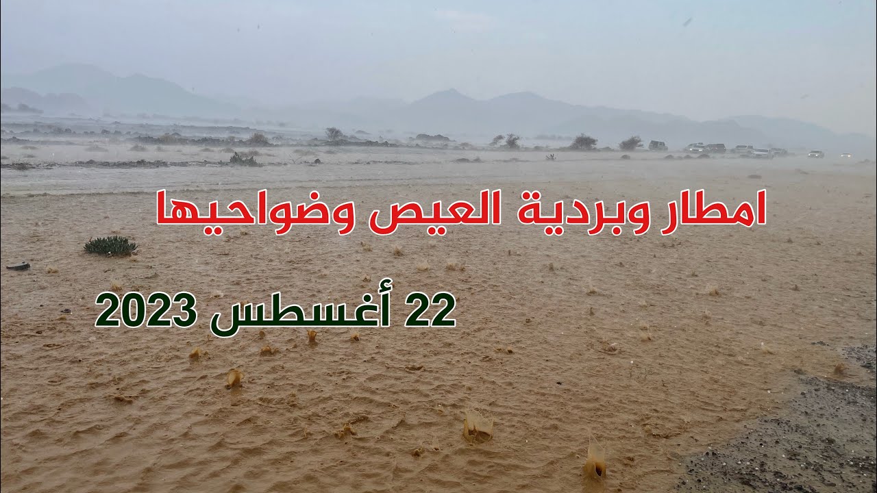 امطار العيص والفرع وبردية غرزه غرب العيص الثلاثاء ٢٢ أغسطس ٢٠٢٣