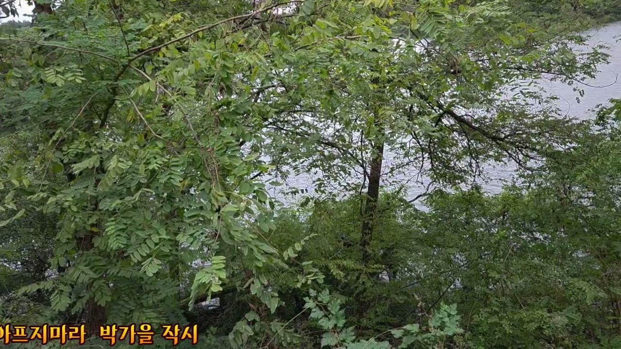 가요 