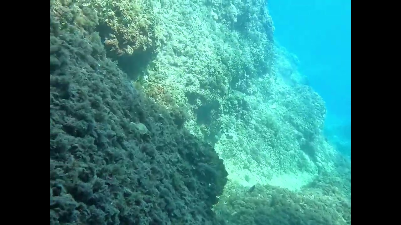 Diving Center Indie, in Kroati&euml;, Banjole