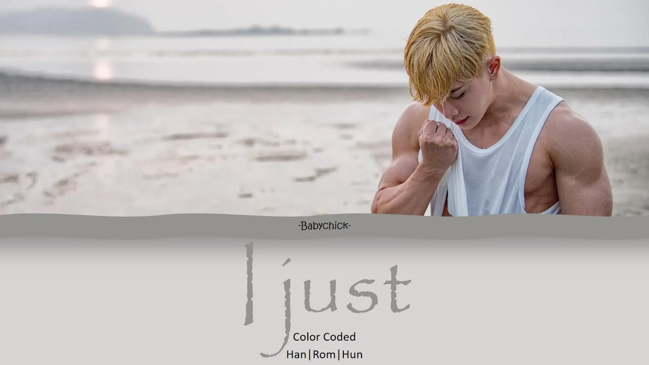 Wonho - I just (hunsub)