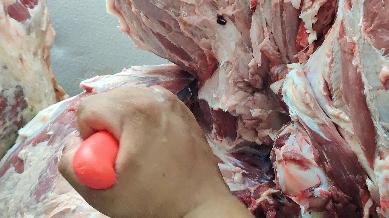 Centro. Cómo deshuesar una 