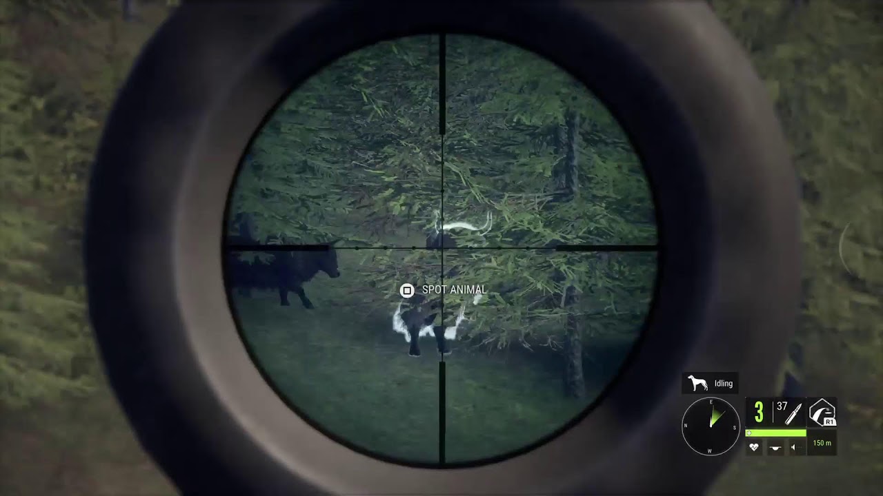 Thehunter: Call of the Wild livestream