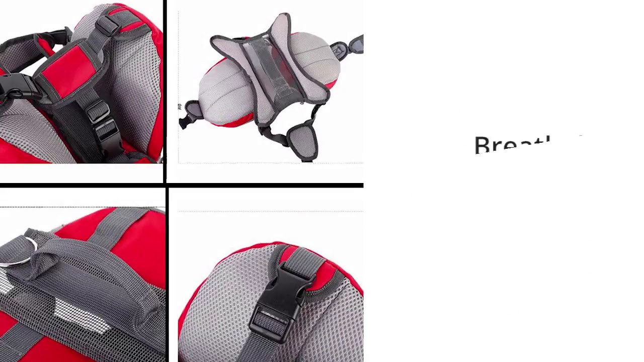 An Amazing Backpack Harness To Enhance Outdoor Adventures For Dogs And Humans