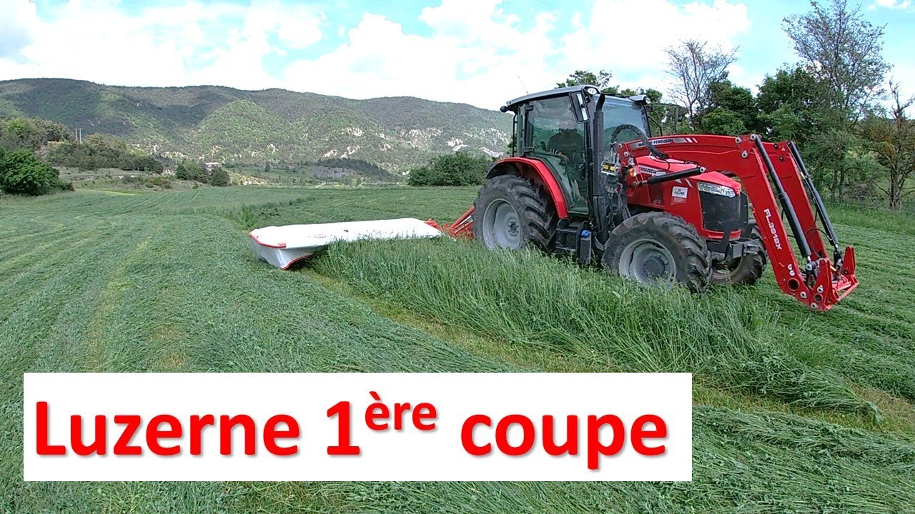 MARRE des paysans qui font du BRUIT à 22h ou tout savoir sur la luzerne