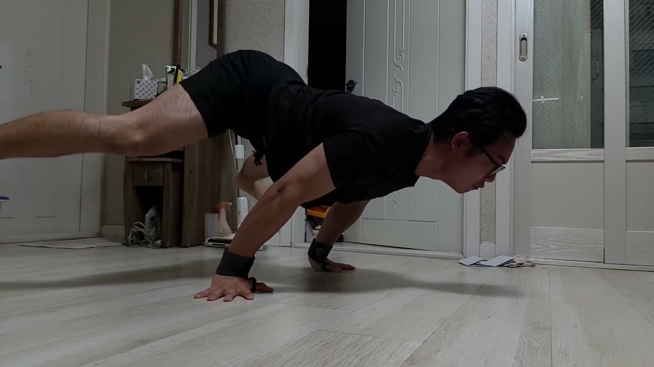 일반인 플란체 연습 598회차