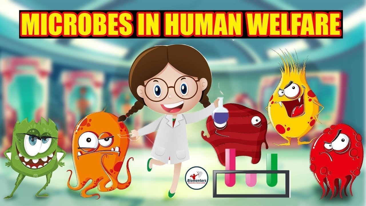 MICROBES IN HUMAN WELFARE SHORT NOTES