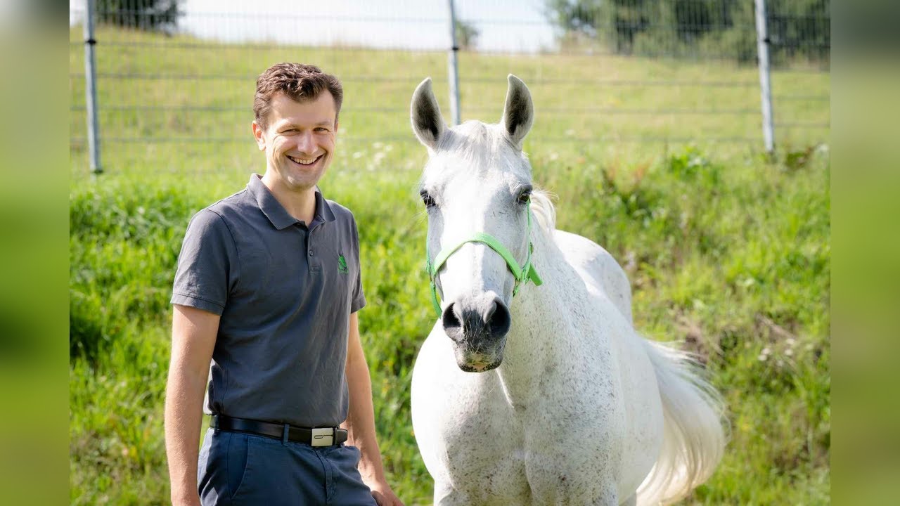 My horse has cancer &ndash; what can help