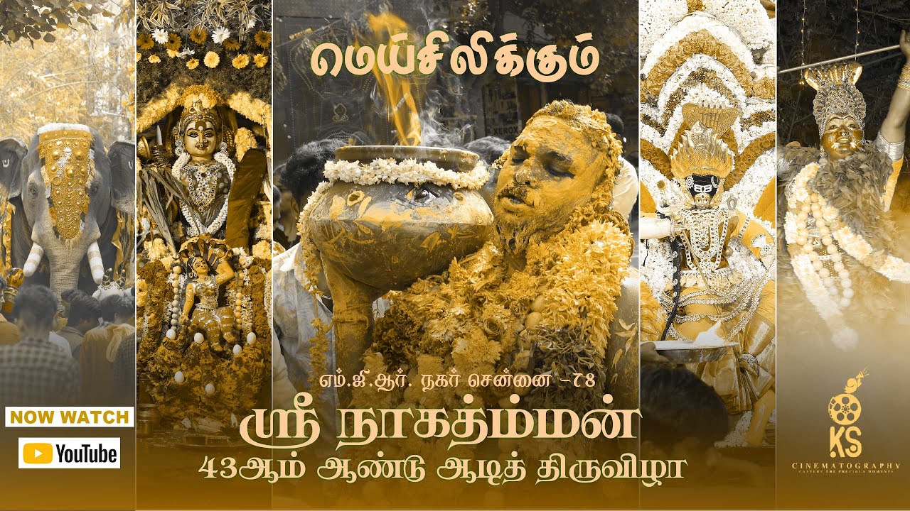 Aadi Thiruvizha | Sri Nagathamman Temple | Amman God | Chennai | Highlights
