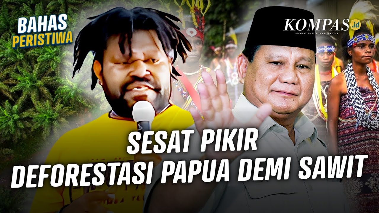 Polemik Presiden Prabowo Ingin Papua Ditanami Sawit