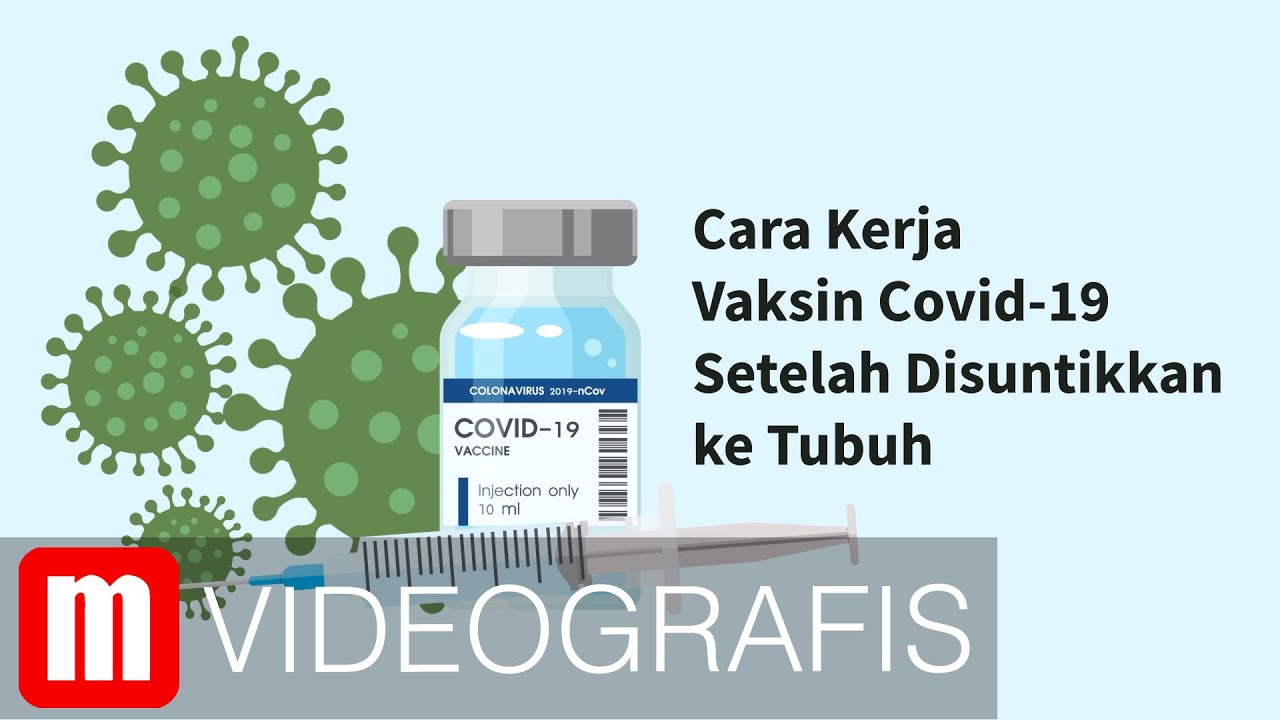 Cara Kerja Vaksin Setelah Disuntikkan ke Tubuh