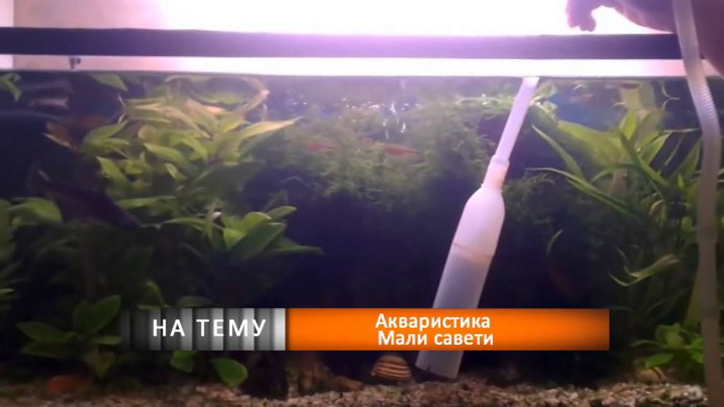 NA TEMU - Akvaristika