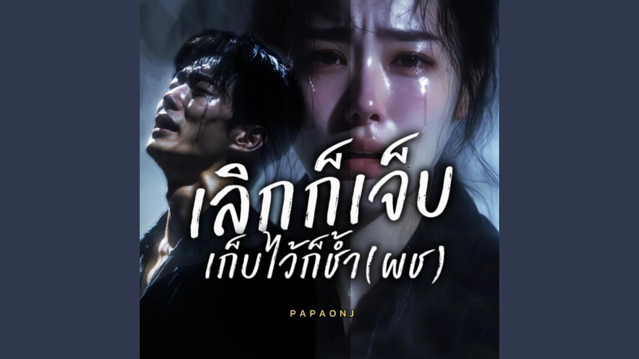 เลิกก็เจ็บเก็บไว้ก็ช้ำ(ผช)