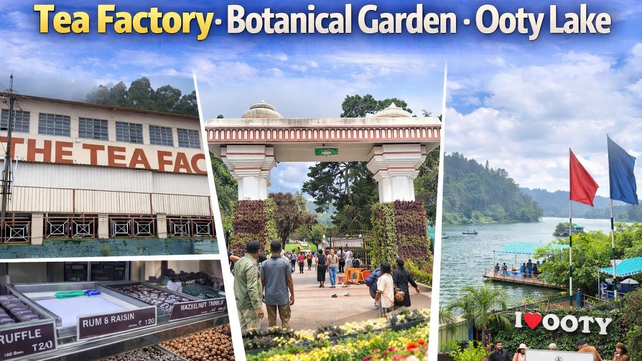 EP08 : Ooty Sightseeing Vlog ☕ | Tea Factory, Botanical Garden & Ooty Lake | LifeToXplore