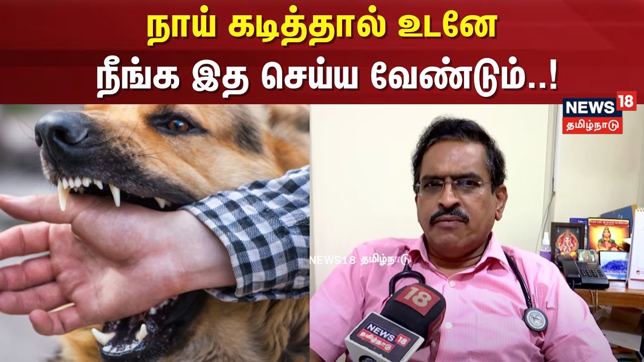 Dog Bite Problem | நாய் கடித்தால் நீங்க இத உடனே செய்ய வேண்டும்..!-மருத்துவர் ஜெயக்குமார்