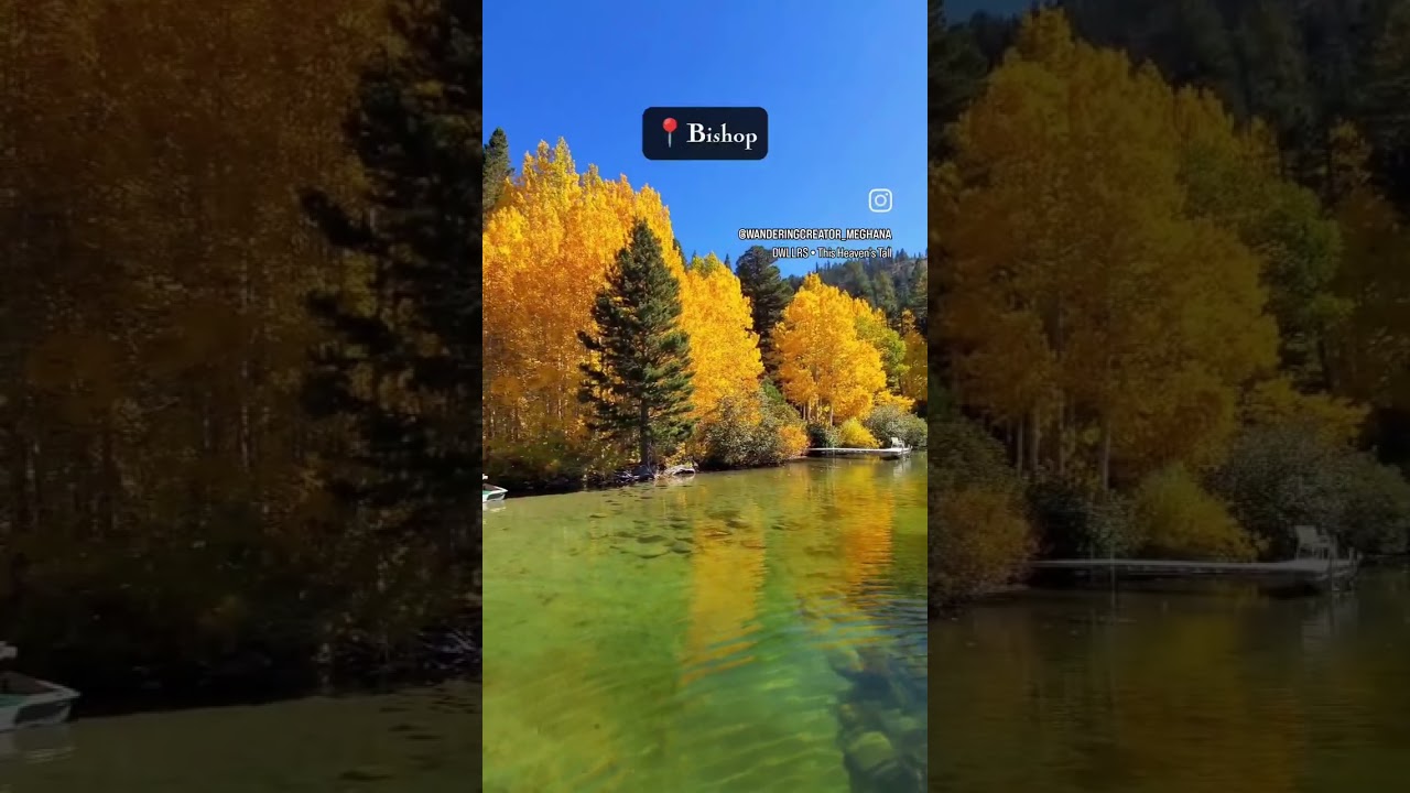 California Fall Foliage 🍁🍂 #easternsierra #junelakeloop #california