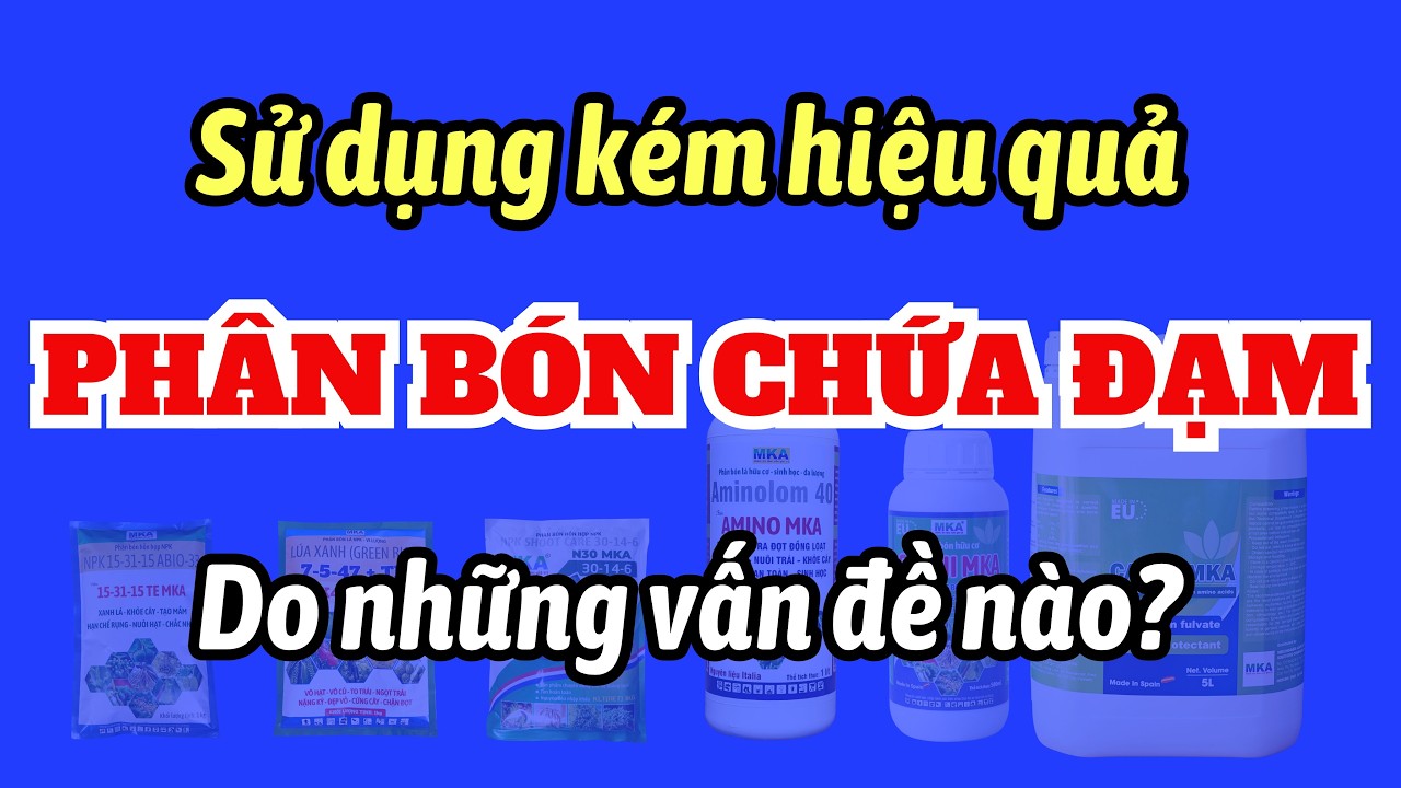 Các vấn đề cần nắm rõ về phân bón chứa ĐẠM để tránh việc sử dụng kém hiệu quả