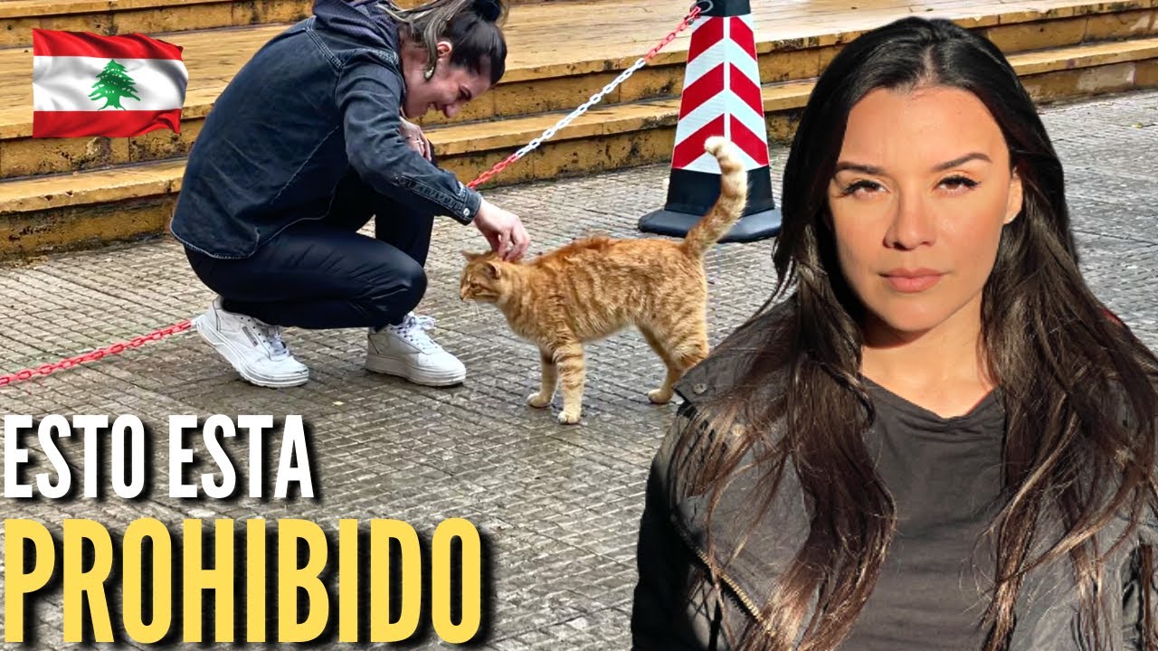 NO HAGAS ESTO EN LIBANO 🇱🇧 | ES NORMAL PARA ELLOS PERO PARA NOSOTROS NO | La Vida de M