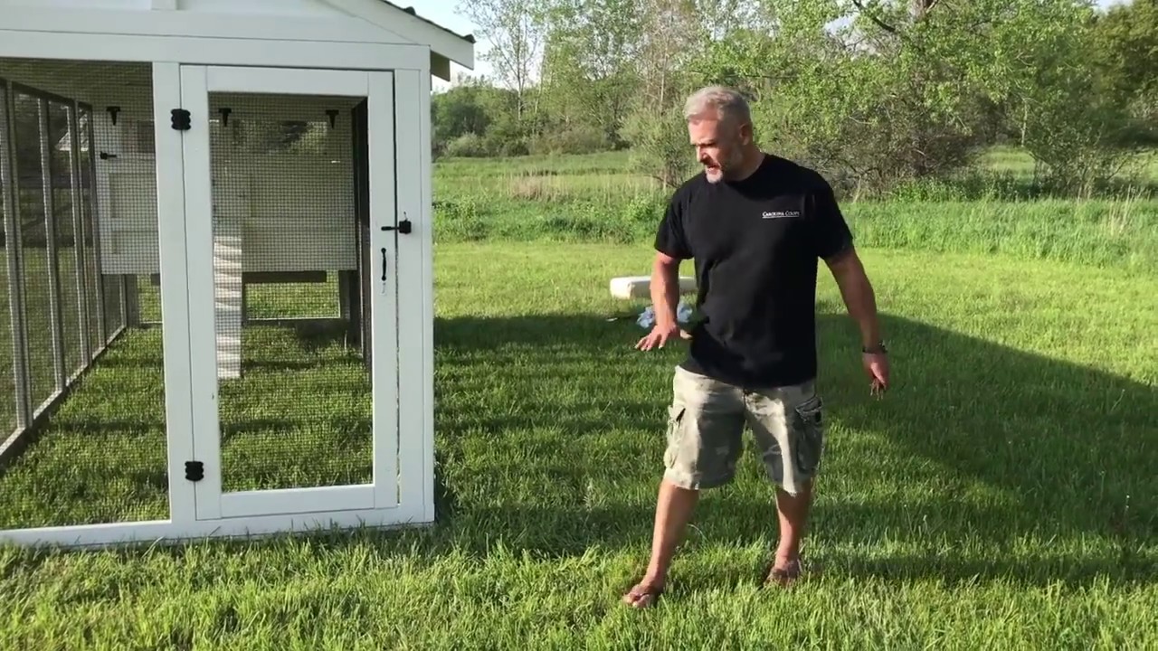 How to Install a Predator Apron Around a Chicken Coop
