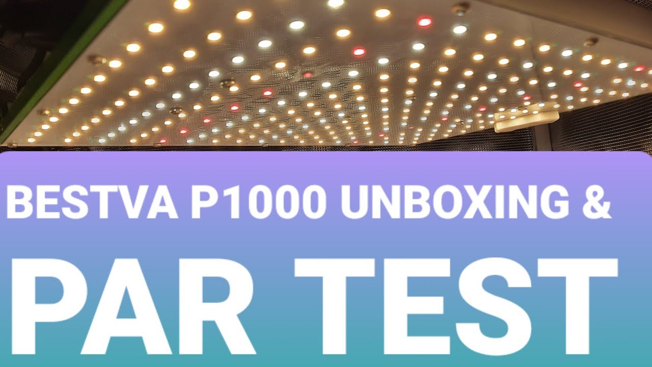 Bestva PRO 1000 Unboxing & PAR Test Review