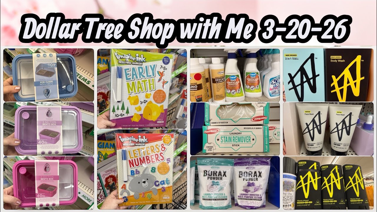 NEW Dollar Tree Finds You Won't want to miss 🛒🌳 Hurry! #dollartree #dollartreehaul #dollartreefinds
