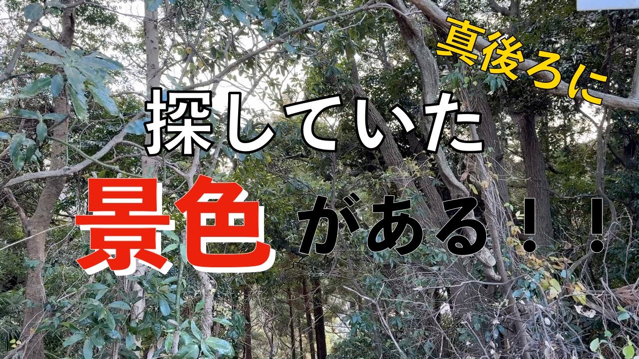 この眺めを探していたんだ！！田浦メガソーラー編。