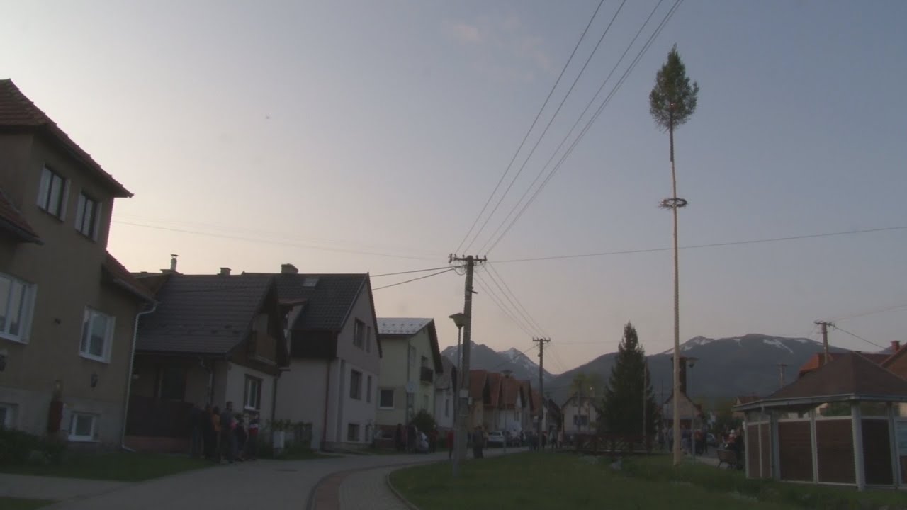 Stavanie mája v Pribyline 2023