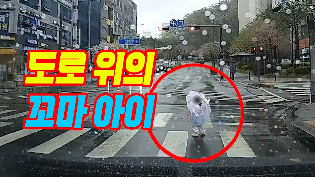 19559회. 혼자 도로를 걷고 있는 28개월 아이를 구한 사건