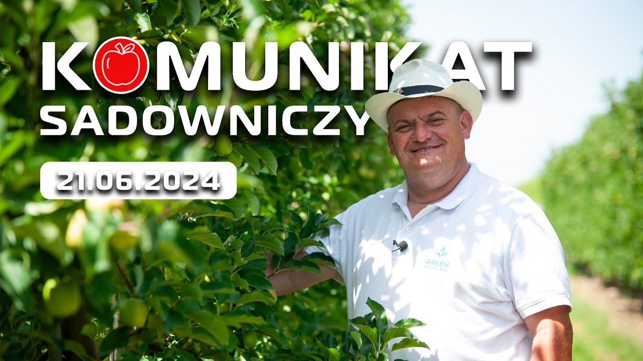 Komunikat sadowniczy - 21.06.2024 - Zbigniew Marek