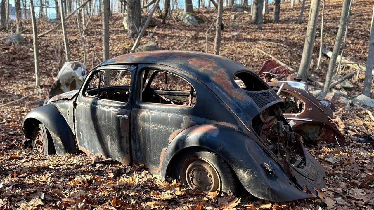 БЕСПЛАТНО В лесу найдена брошенная машина | Спасен редкий Vw Beetle, простоявший много лет!