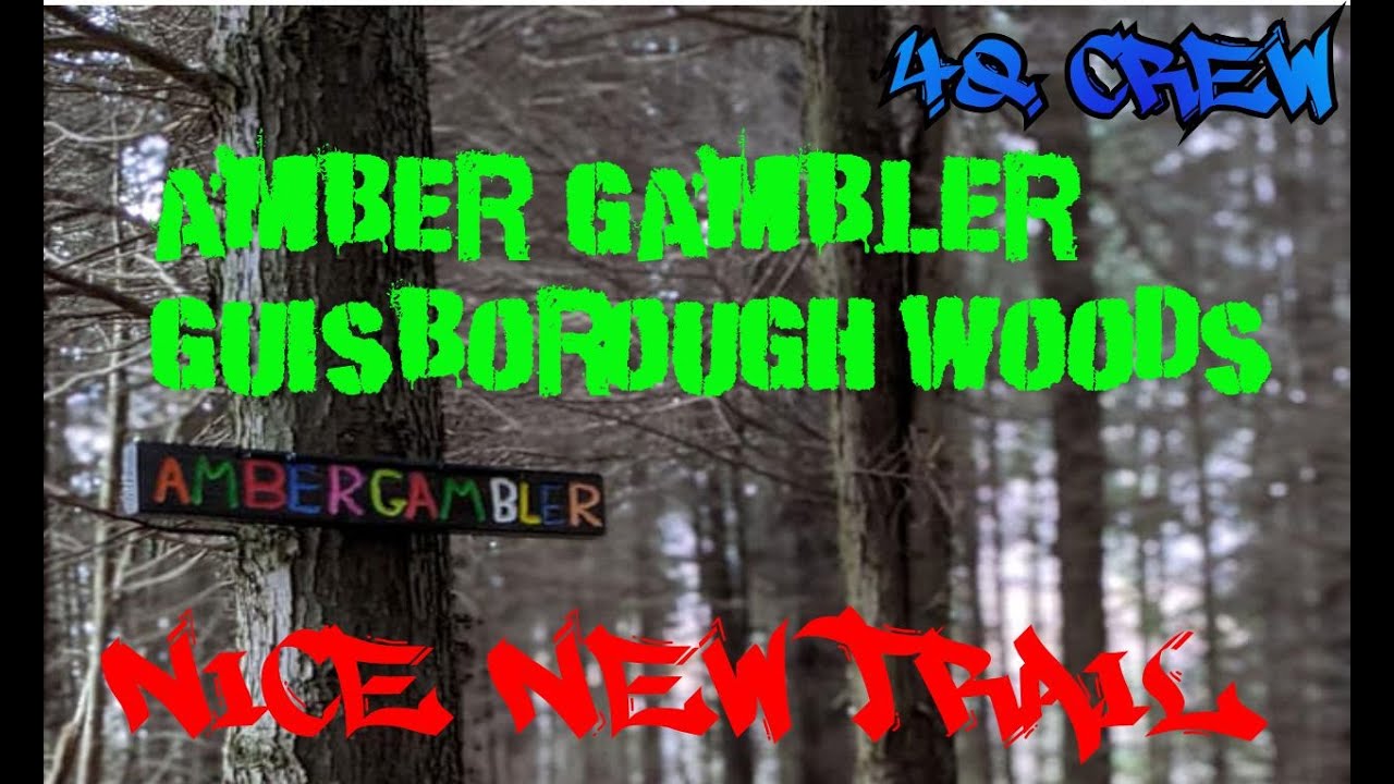 Amber Gambler Guisborough Woods new trail