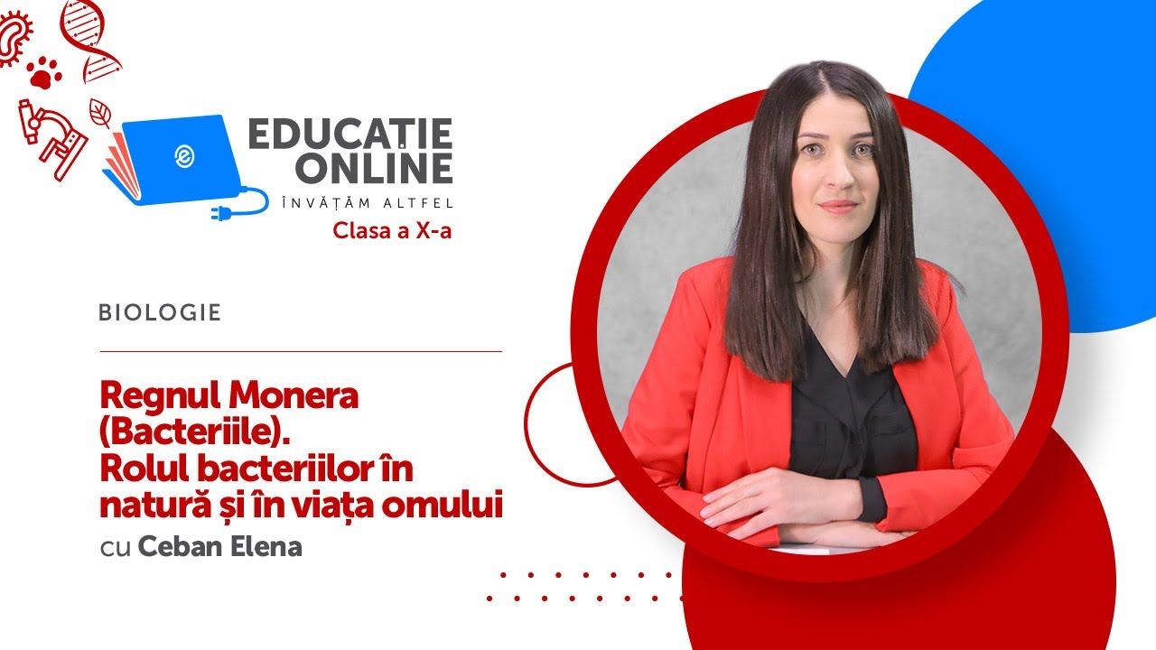 Biologie, clasa a X-a, Regnul Monera (Bacteriile). Rolul bacteriilor în natură și în viața omului