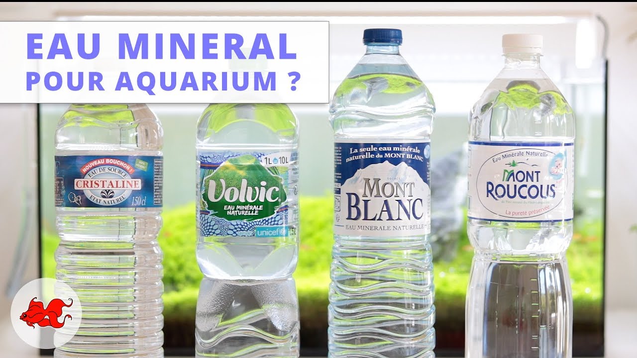 Eau en bouteille pour aquarium ?