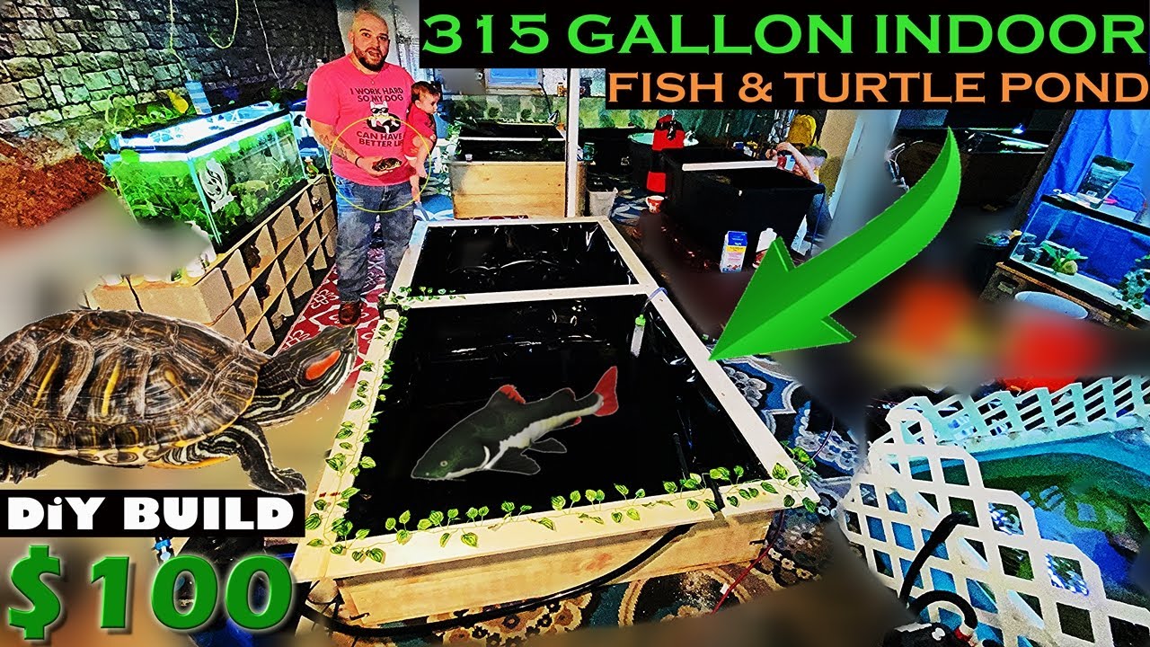 $100 DIY FISH & TURTLE POND (315 GALLON INDOOR WOODEN POND)