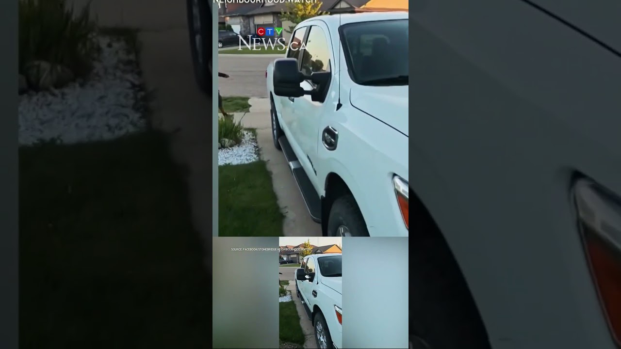 Saskatoon community using social media to tackle crime
