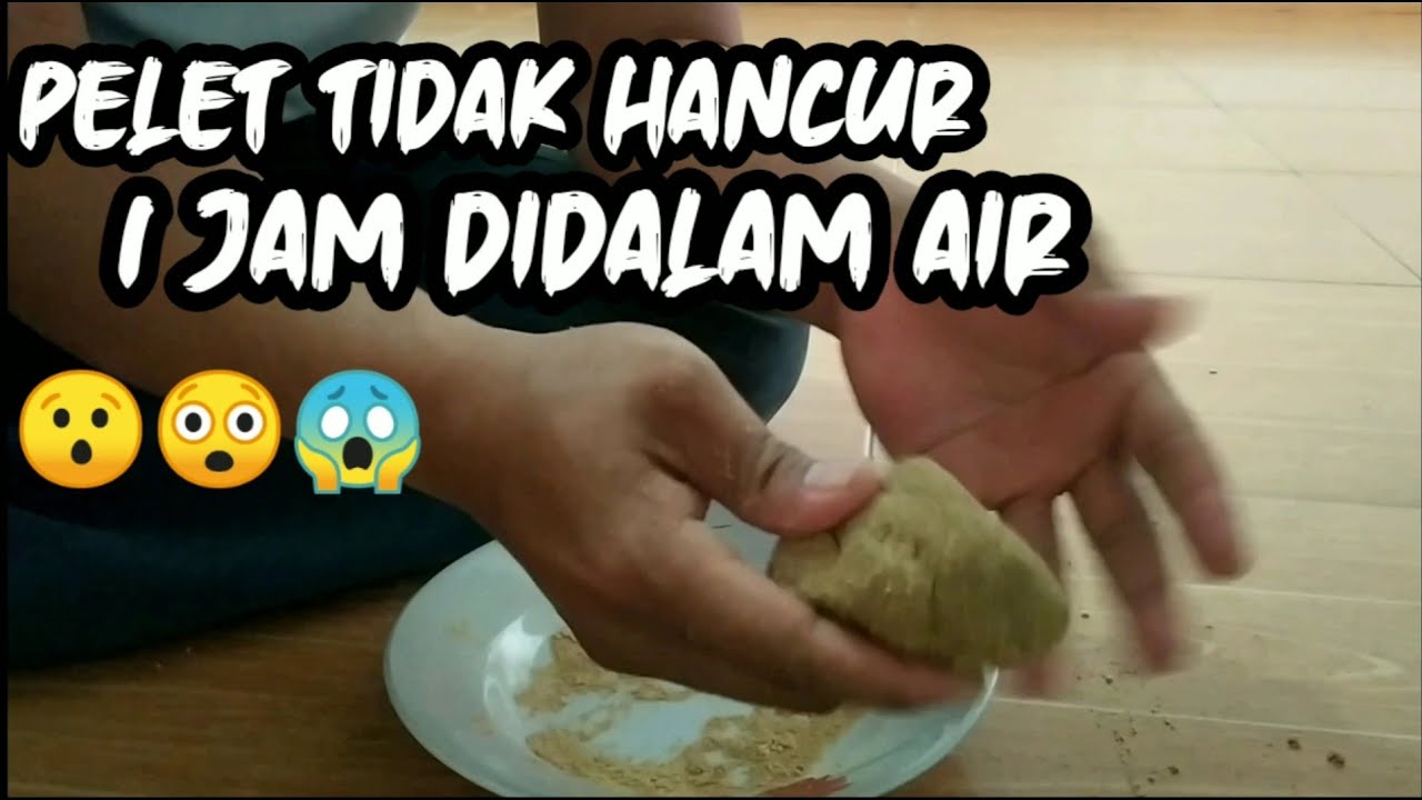 Cara membuat pelet ikan untuk  umpan mancing,agar awet dan tahan di air