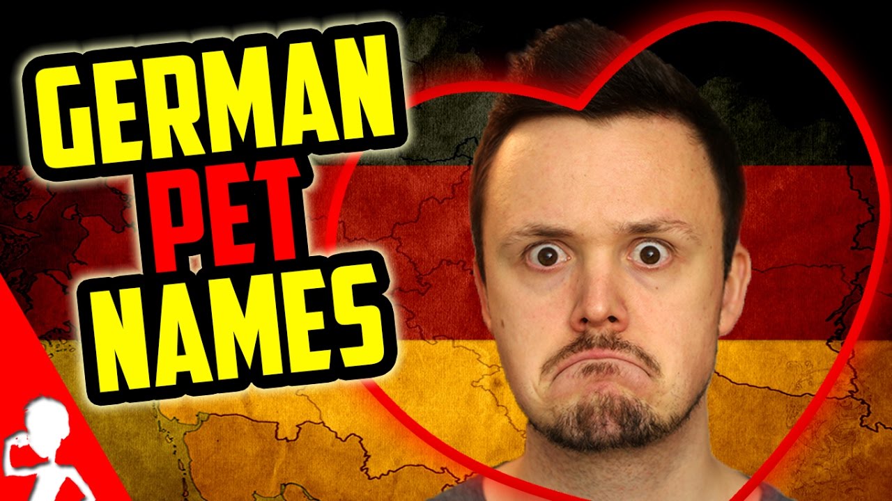 Learn German Pet Names | Get Germanized