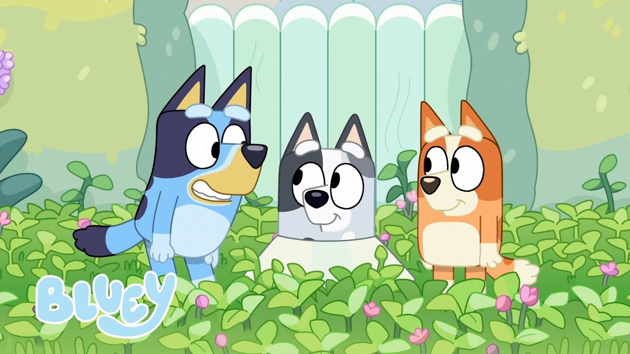 Jeux d'arrière-cour | Bluey Français Chaîne Officielle